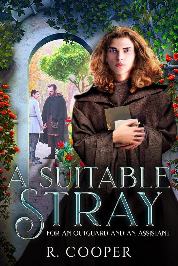A suitable stray by R. Cooper book review