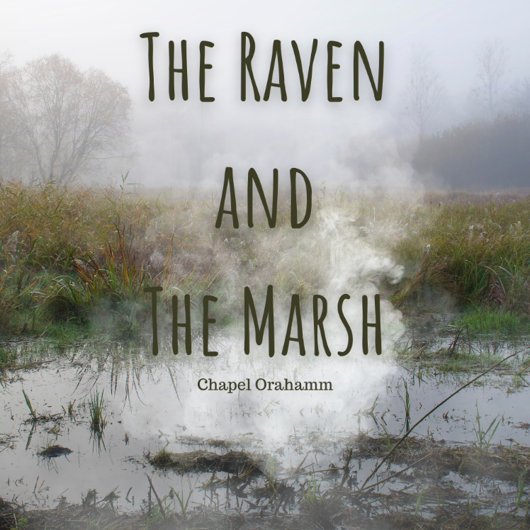 The Raven and the Marsh by Chapel Orahamm